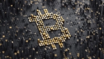 L'immagine della moneta digitale dal sito Bitcoin.com L'immagine della moneta digitale dal sito Bitcoin.com