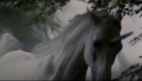 l'unicorno in Blader Runner, director's cut