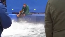 A dog's purpose A dog's purpose