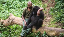 Virunga Virunga