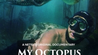 Locandina di My Octopus Teacher