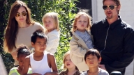 Brad Pitt, Angelina Jolie