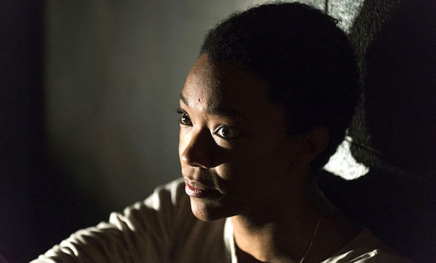 Sasha catturata dai Salvatori nel quindicesimo episodio della settima stagione di The Walking Dead Sasha catturata dai Salvatori nel quindicesimo episodio della settima stagione di The Walking Dead