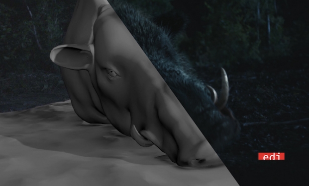 Il cinghiale creato in 3D da EDI Effetti Digitali Italiani