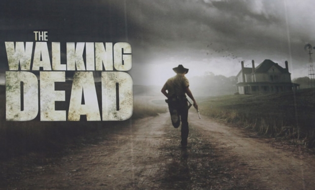 The Walking Dead The Walking Dead