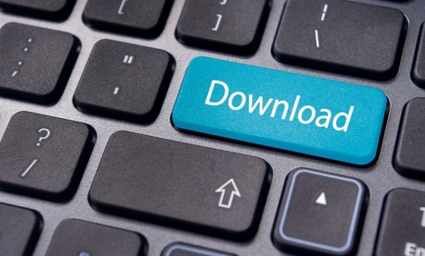 Pirateria informatica Pirateria informatica