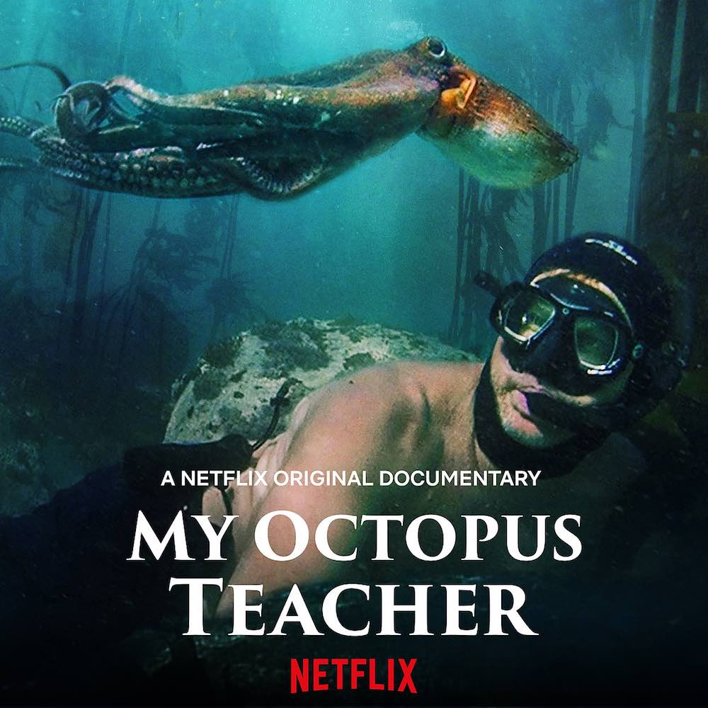 Locandina di My Octopus Teacher Locandina di My Octopus Teacher