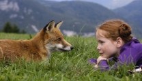 La volpe e la bambina La volpe e la bambina