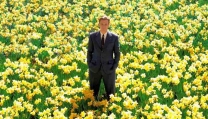Big Fish Big Fish