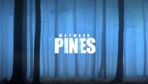Wayward Pines Wayward Pines