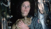 Alien Alien