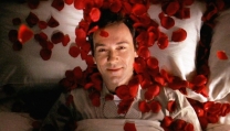 American Beauty American Beauty