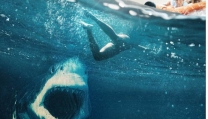 Great White Great White