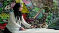 Kedi – La Città dei Gatti Kedi – La Città dei Gatti