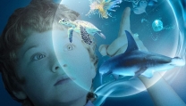 Le meraviglie del mare Le meraviglie del mare