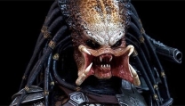 Predator Predator