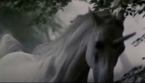 l'unicorno in Blader Runner, director's cut l'unicorno in Blader Runner, director's cut