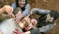 The Walking Dead The Walking Dead