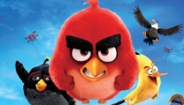 Angry Birds Angry Birds