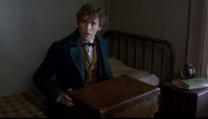 Newt Scamander Newt Scamander