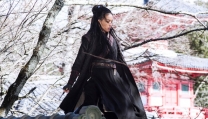 The Assassin The Assassin
