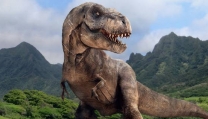 D-Rex D-Rex
