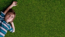 Boyhood