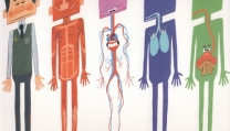 Inner Workings