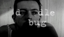 Doodle bug Doodle bug