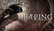 The Reaping The Reaping