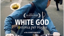 Locandina di White God - Sinfonia per Hagen Locandina di White God - Sinfonia per Hagen