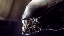 Alien Alien