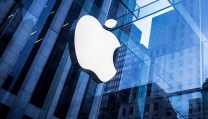 Apple Apple