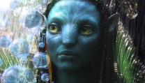 Avatar Avatar
