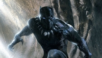 Black Panther Black Panther