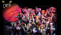 Cats