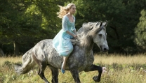 Cinderella Cinderella