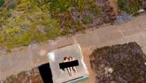 Drone Boning Drone Boning