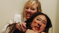 Catfight Catfight