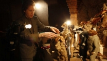 Wes Anderson Wes Anderson