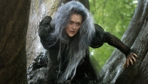 Into the Woods Into the Woods