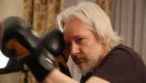 Julian Assange mette Sony K.O Julian Assange mette Sony K.O