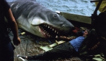 Lo squalo di Steven Spielberg Lo squalo di Steven Spielberg