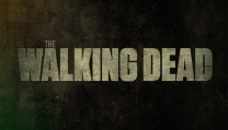The Walking Dead The Walking Dead