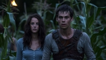 Maze Runner - Il labirinto Maze Runner - Il labirinto