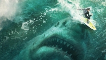 Meg Meg