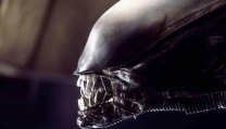 Alien Alien