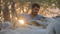 Neon Bull Neon Bull