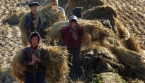 La Cina rurale fonte di ispirazione per artisti La Cina rurale fonte di ispirazione per artisti