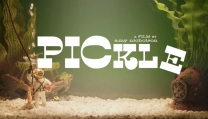 Pickle Pickle